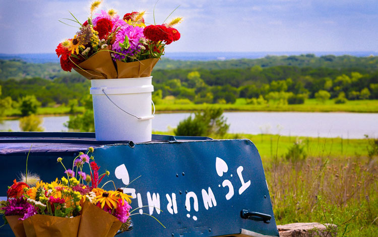 Dos cubos de flores sentados en un bote.